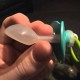 There is a Baby Nipple; it is transparent white in colour.