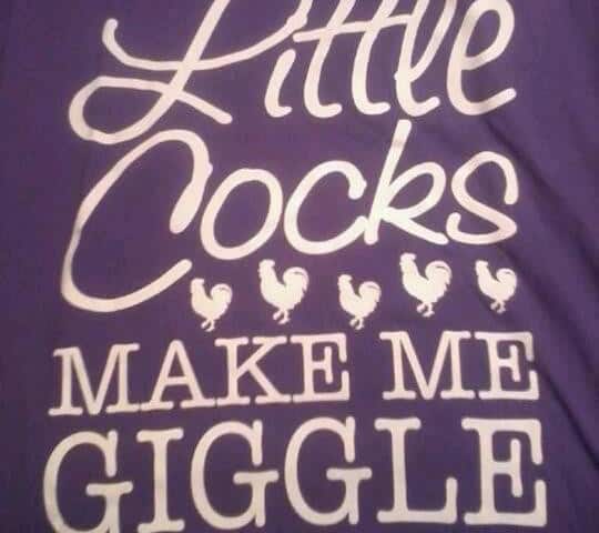 In this picture, there is a t-shirt with the words "little cocks make me laugh" printed on it. The t-shirt is purple.