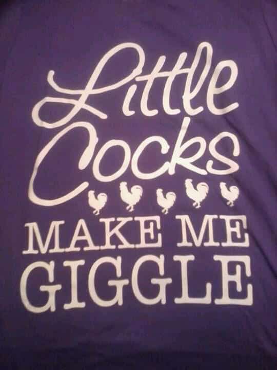 In this picture, there is a t-shirt with the words "little cocks make me laugh" printed on it. The t-shirt is purple.