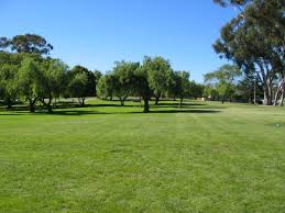 This photograph depicts Pioneer Park in San Diego, California, which is a lovely park.